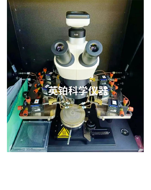 英铂科学助力中科院微电子所搭建SiC器件高温600℃电学测试