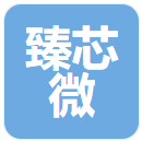 苏州臻芯微电子有限公司