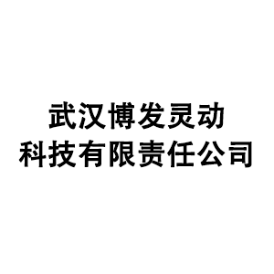 武汉博发灵动科技有限责任公司