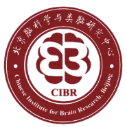 北京脑科学与类脑研究所